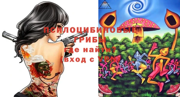 2c-b Верхний Тагил