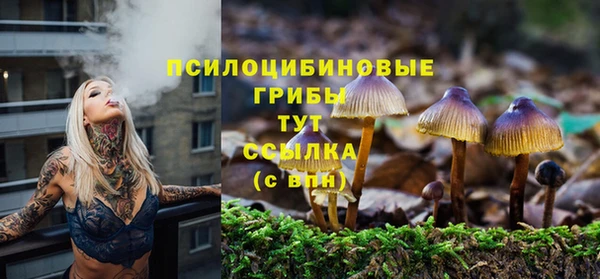 2c-b Верхний Тагил