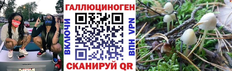 Псилоцибиновые грибы мицелий  Яровое 